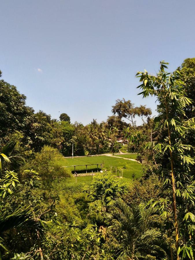Prasanti Bed & Breakfast Ubud Extérieur photo